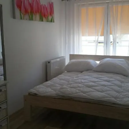 Daire Apartament